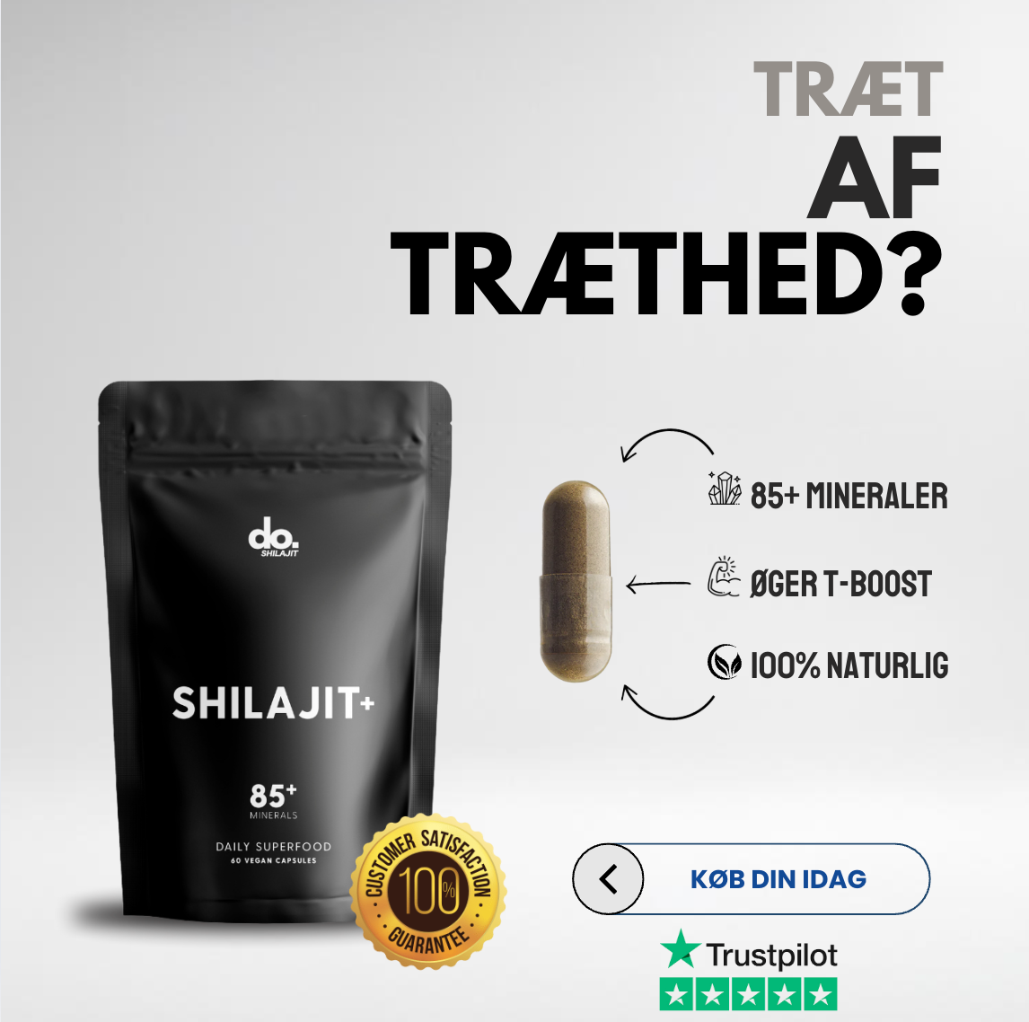 SHILAJIT KAPSLER PREMIUM
